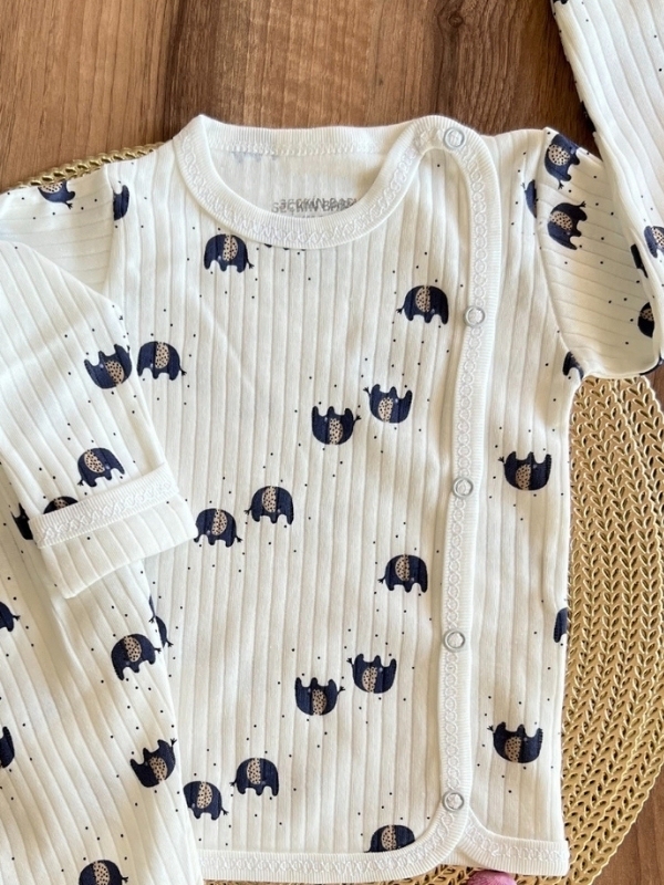 Fil Desen 2'li Takım