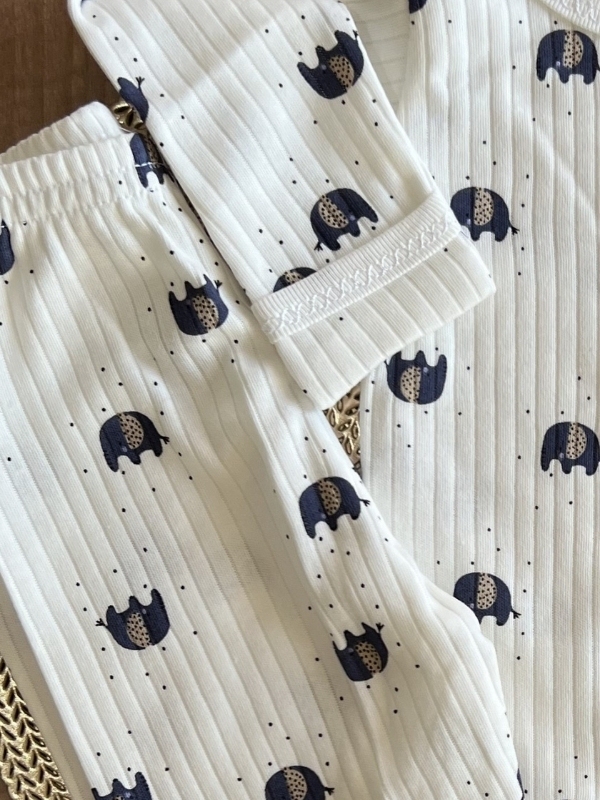 Fil Desen 2'li Takım