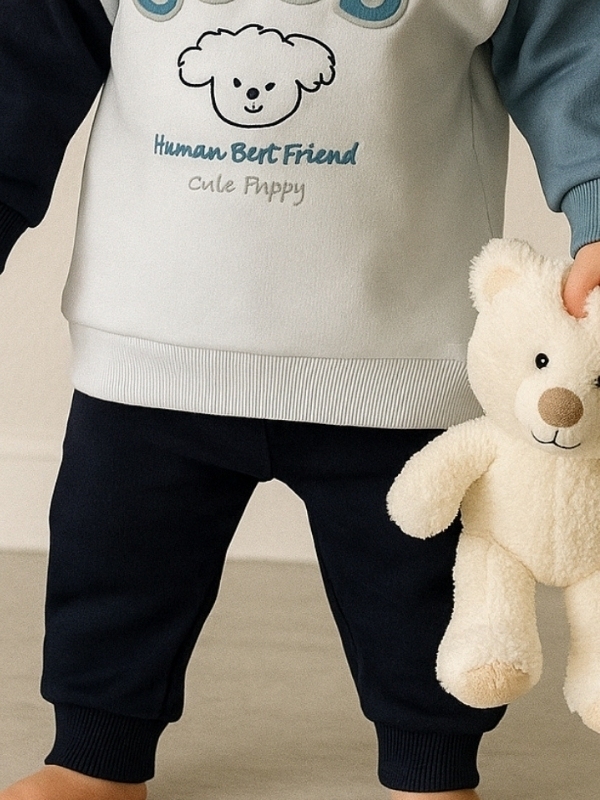 Şardonlu Alt Üst Erkek Takım